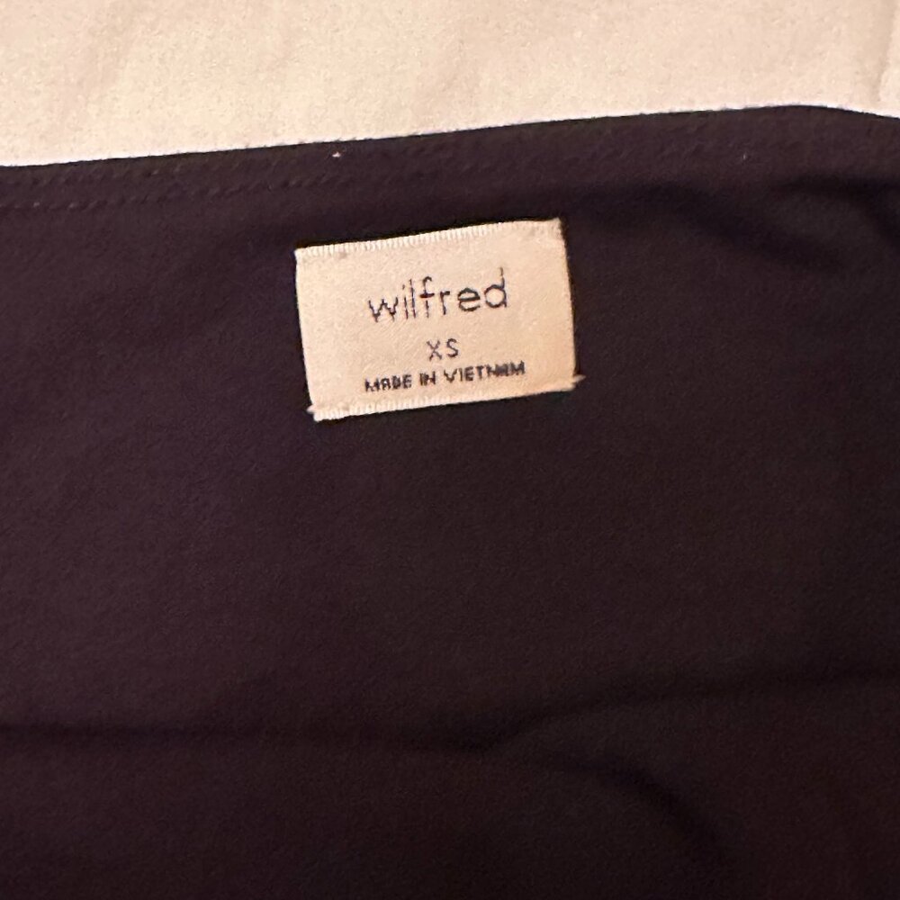Aritzia Dress